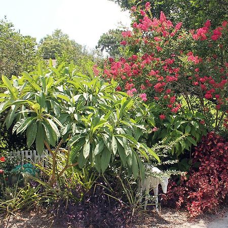 Heron Cay Lakeview Bed & Breakfast Mount Dora Εξωτερικό φωτογραφία