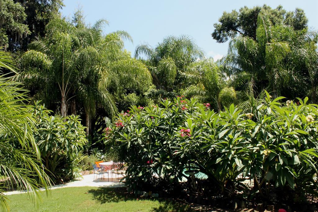Heron Cay Lakeview Bed & Breakfast Mount Dora Εξωτερικό φωτογραφία