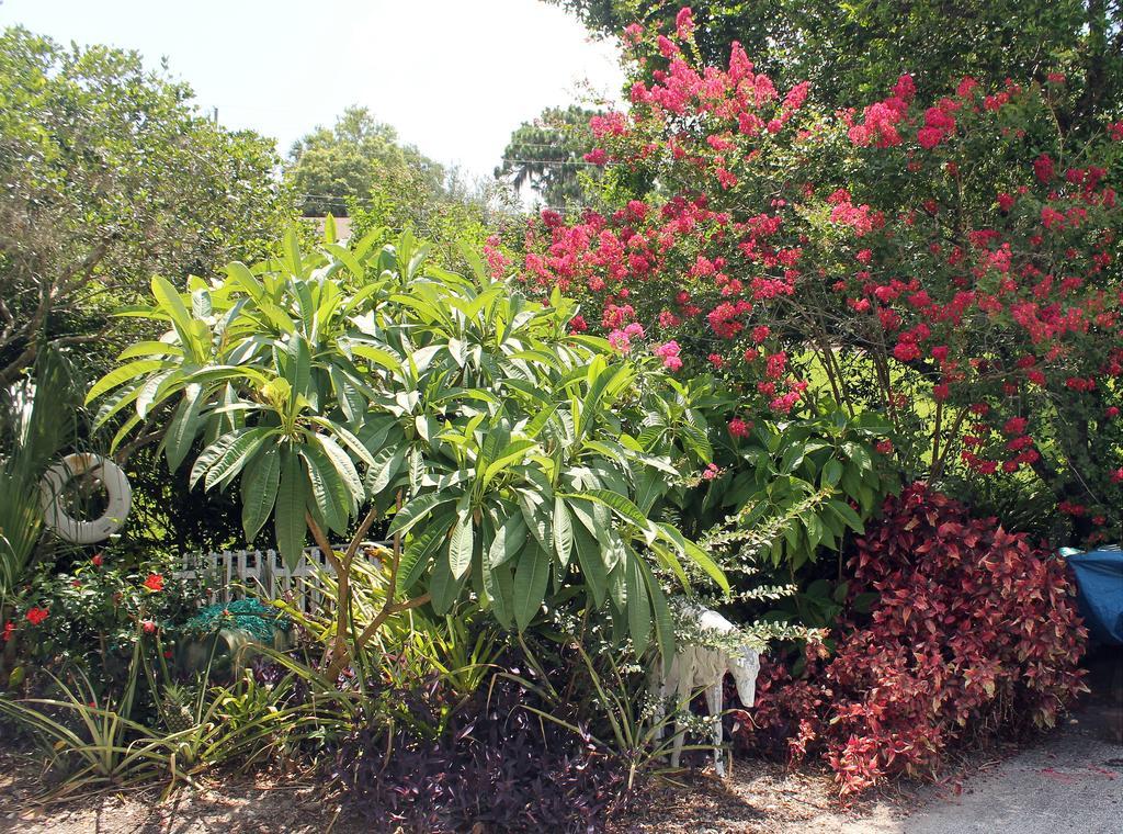Heron Cay Lakeview Bed & Breakfast Mount Dora Εξωτερικό φωτογραφία