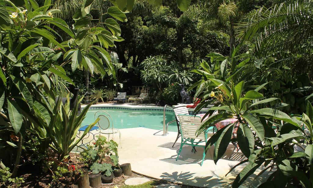 Heron Cay Lakeview Bed & Breakfast Mount Dora Εξωτερικό φωτογραφία